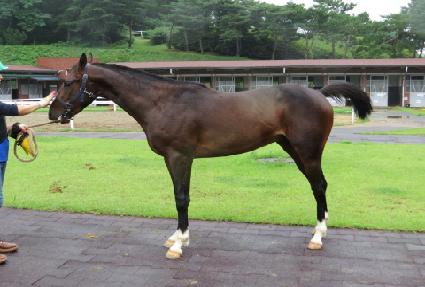 ��õ���� ����