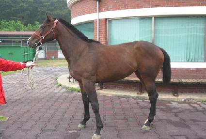 �𰶷��� ����