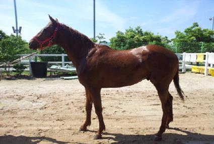 ������� ����