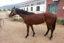 �̴Ϲ� (MINIME) ����