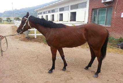 �̴Ϲ� ����