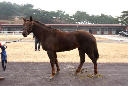 ������� ����