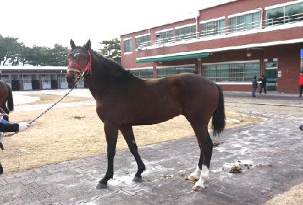 �������� ����