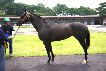 �ؾϻ�� ����