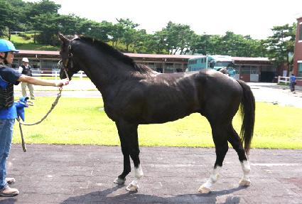 �ʽ¿��� ����