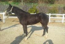 �����̶ڴ� (GASEUMI TTWINDA) ����