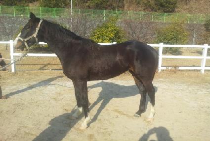 �����̶ڴ� ����