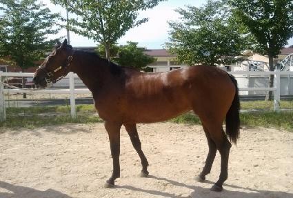 �����̶�Ŭ ����