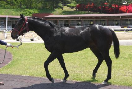 Ȳ�ݿ��� ����