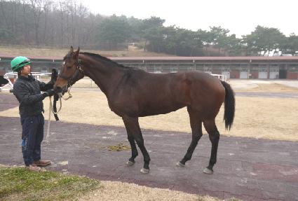 ��Ʋ�ý� ����