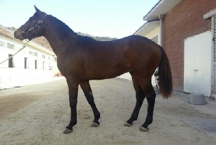 ������ũ ����