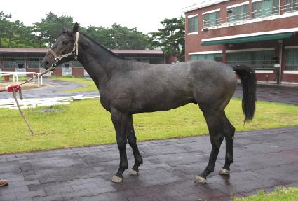 �������� ����