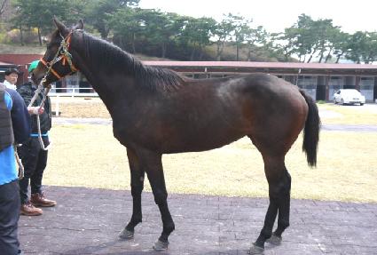 �����»��� ����