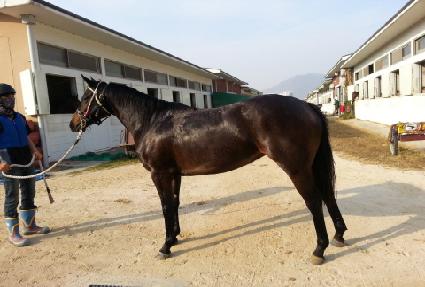 �����̽�Ÿ ����