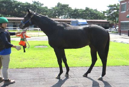 ���̿���ŷ ����