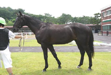 ������� ����