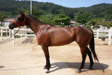 ž�����̵� ����