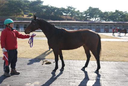 ������ ����