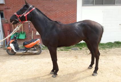 ��Ʋ������ ����