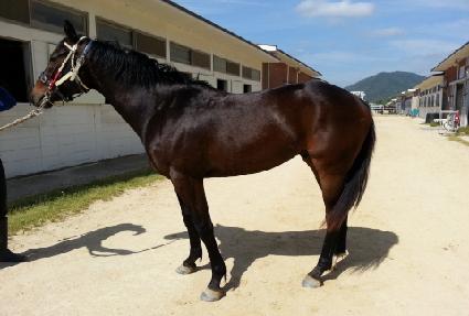 �ض����� ����