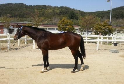 ū�ϴö� ����