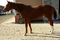 ����� (MARUGEUM) ����