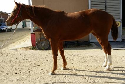 ����� ����