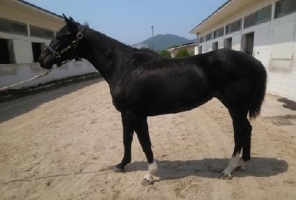 ����¡�帲 ����