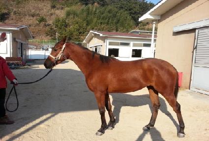 ����õ�� ����