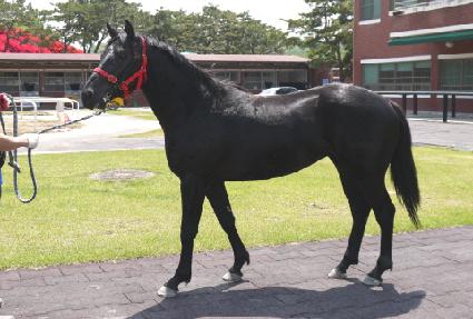 �븶���� ����