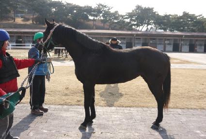 ������� ����