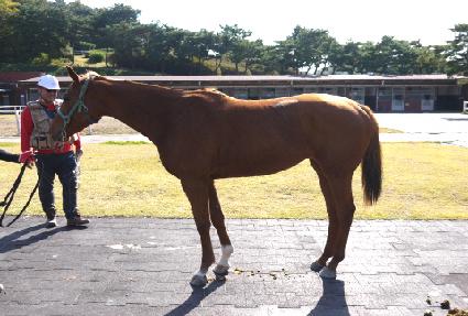 ���̽����� ����