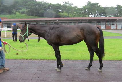 Ŭ����Ĺ ����