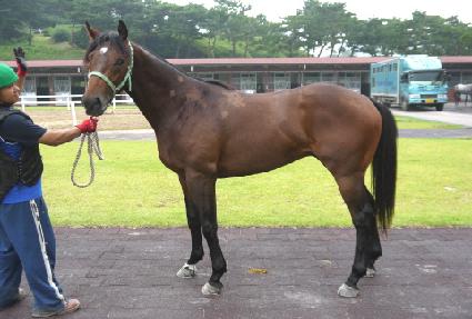 �������� ����