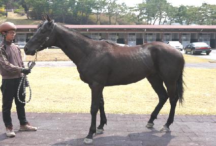 ��ǳ���� ����