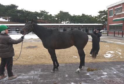 ����Ƚ�Ÿ ����