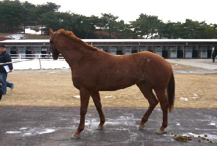 ���ź��丮 ����