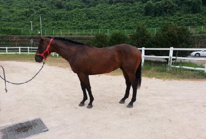 ���Ʈ ����