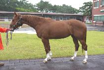 ��õ�� (OKCHEONJI) ����