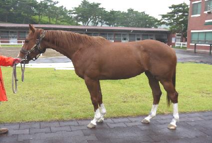 ��õ�� ����