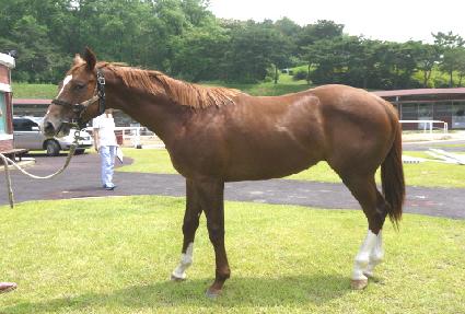 �︮��Ʈ���� ����