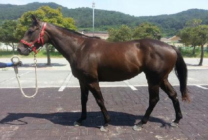 ��������� ����