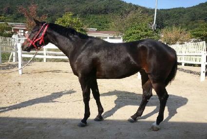 ���̰� ����