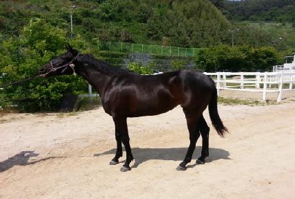 ��±�� ����