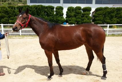 ����¡������ ����