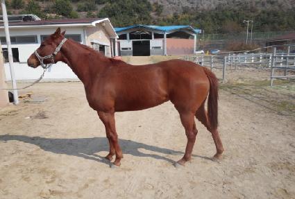 �����̽ý� ����