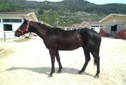 �߾Ӵ��� ����