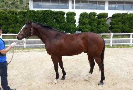 ����¡ĸƾ ����