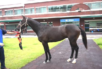 �������� ����