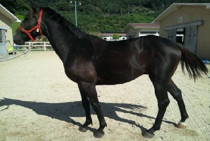 ���̴ϵ��� ����